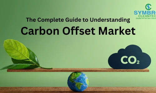 The Complete Guide to Understanding Carbon Offset Market